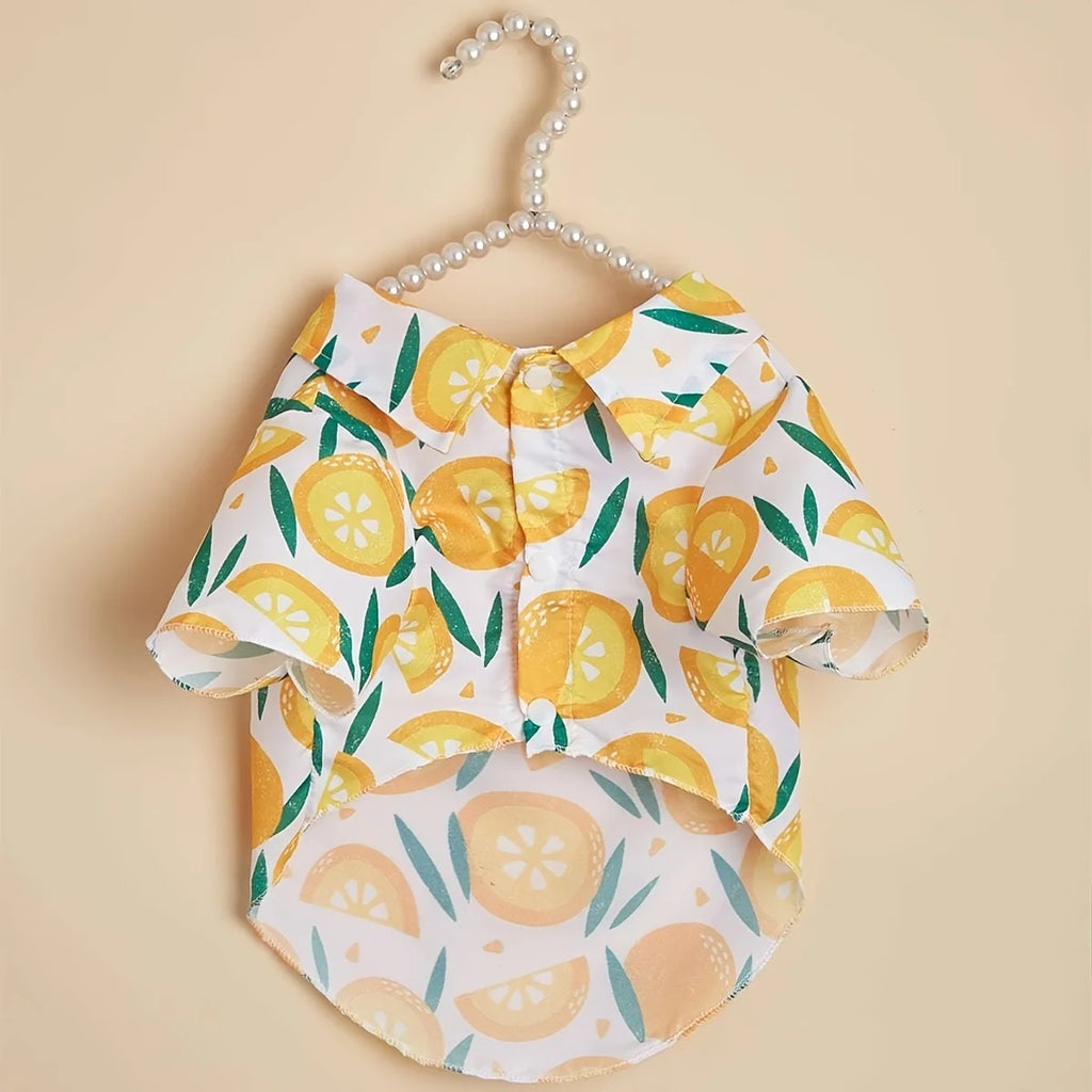 name-branded clothes Pet clothes, dog and cat shirts, lightweight, breathable, comfortable, orange pattern, simple, generous, fresh and cute, suitabl