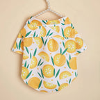 name-branded clothes Pet clothes, dog and cat shirts, lightweight, breathable, comfortable, orange pattern, simple, generous, fresh and cute, suitabl